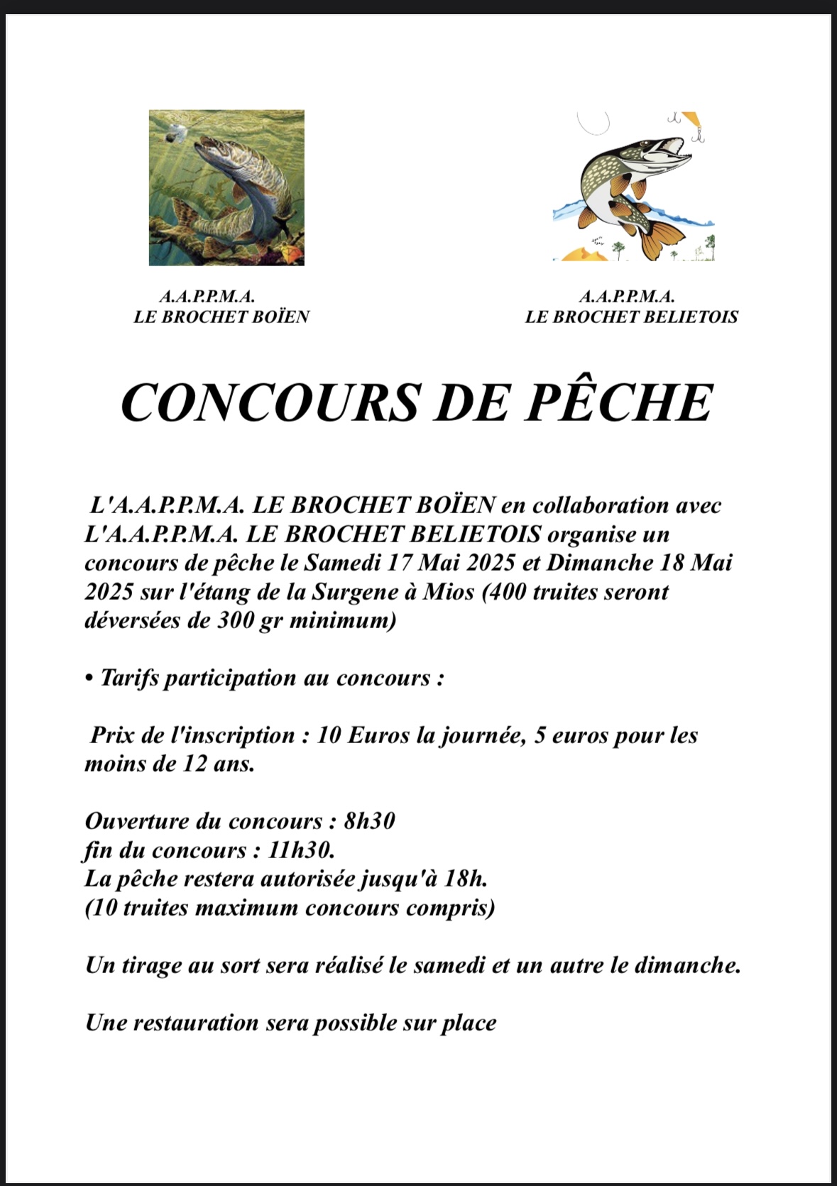 Lâcher de truites